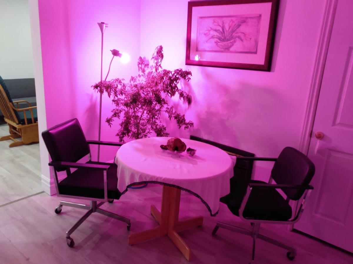 Healing Touch Holistic Living Space Amherst Esterno foto